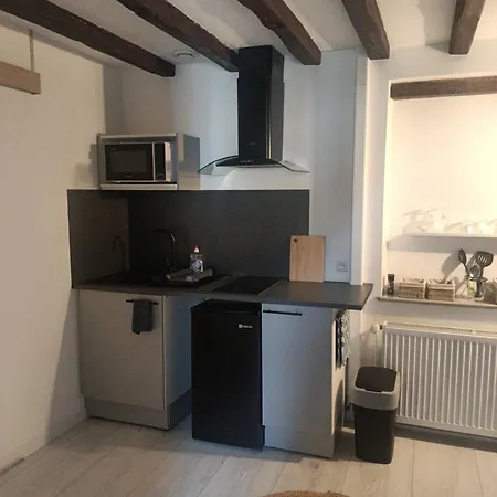 Appartement Dans La Campagne Bourbonnaise Pouzy-Mesangy Extérieur photo