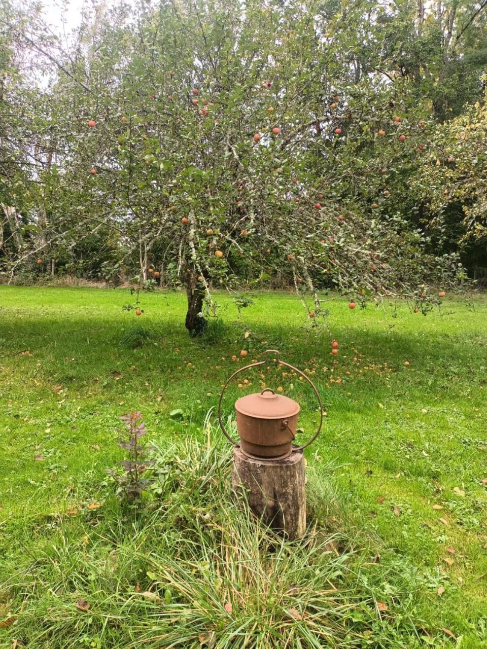 Dans La Campagne Bourbonnaise Appartement