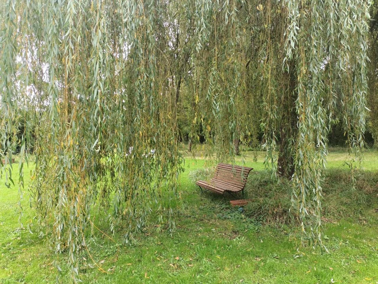 Dans La Campagne Bourbonnaise *